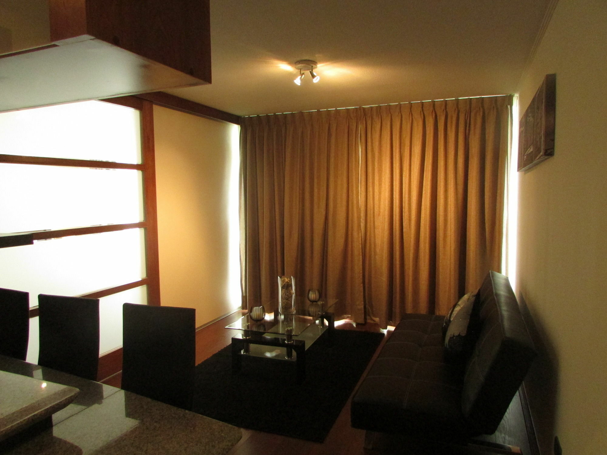 Norus Providencia Apartment Santiago de Chile Bagian luar foto